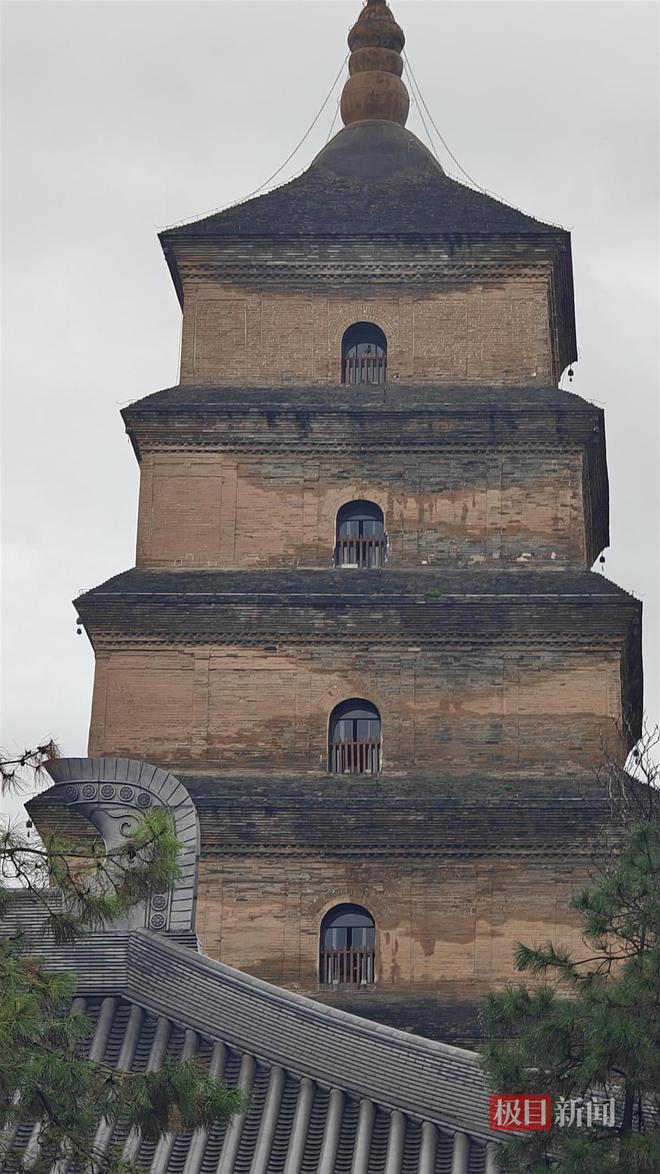 蘑菇大雁塔受潮城墙布满青苔气象局解释成因ky开元棋牌西安连续一个多月降雨遍地长(图3) 蘑菇大雁塔受潮城墙布满青苔气象局解释成因ky开元棋牌西安连续一个多月降雨遍地长(图3)