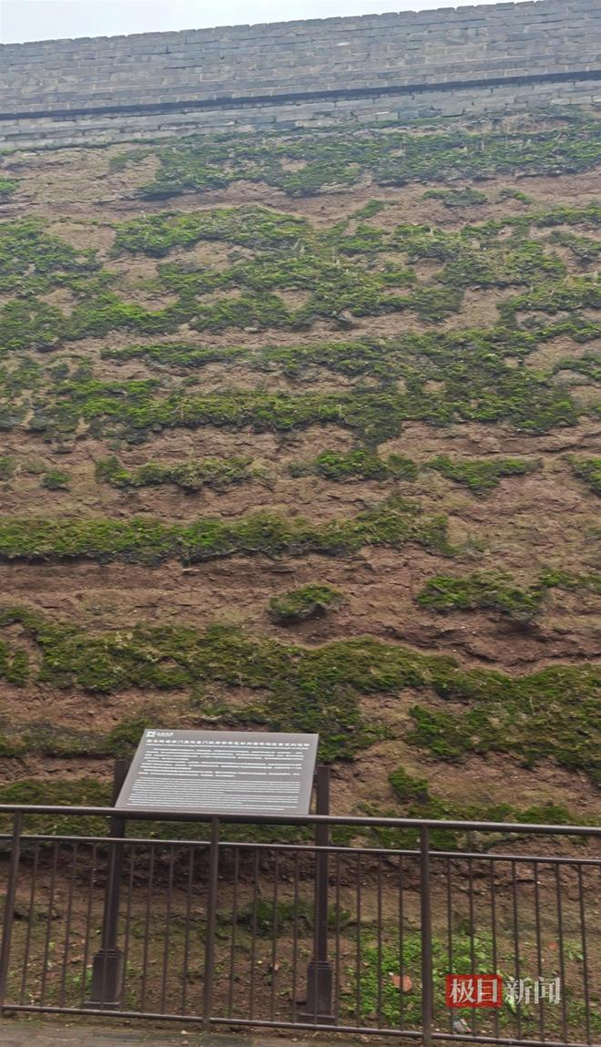 蘑菇大雁塔受潮城墙布满青苔气象局解释成因ky开元棋牌西安连续一个多月降雨遍地长(图2) 蘑菇大雁塔受潮城墙布满青苔气象局解释成因ky开元棋牌西安连续一个多月降雨遍地长(图2)